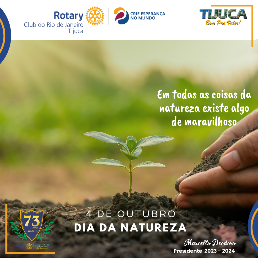 Por Siomara Castro Presidente da Comissão de Imagem Pública