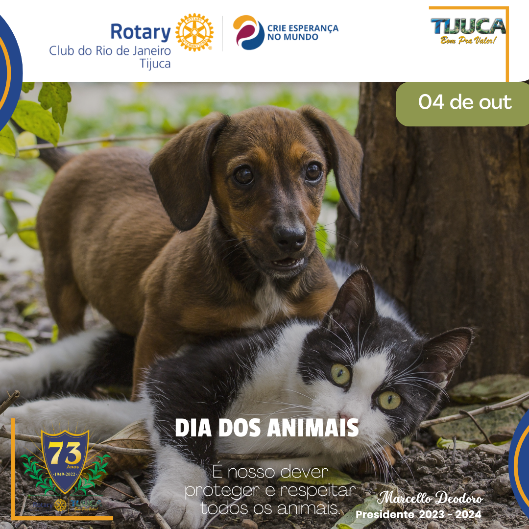 Por Siomara Castro Presidente da Comissão de Imagem Pública