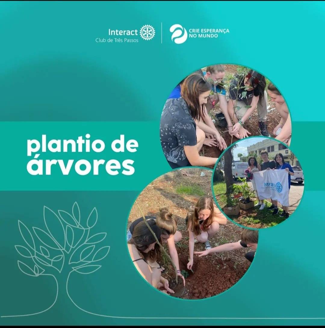 Plantio de árvores 🌱💚