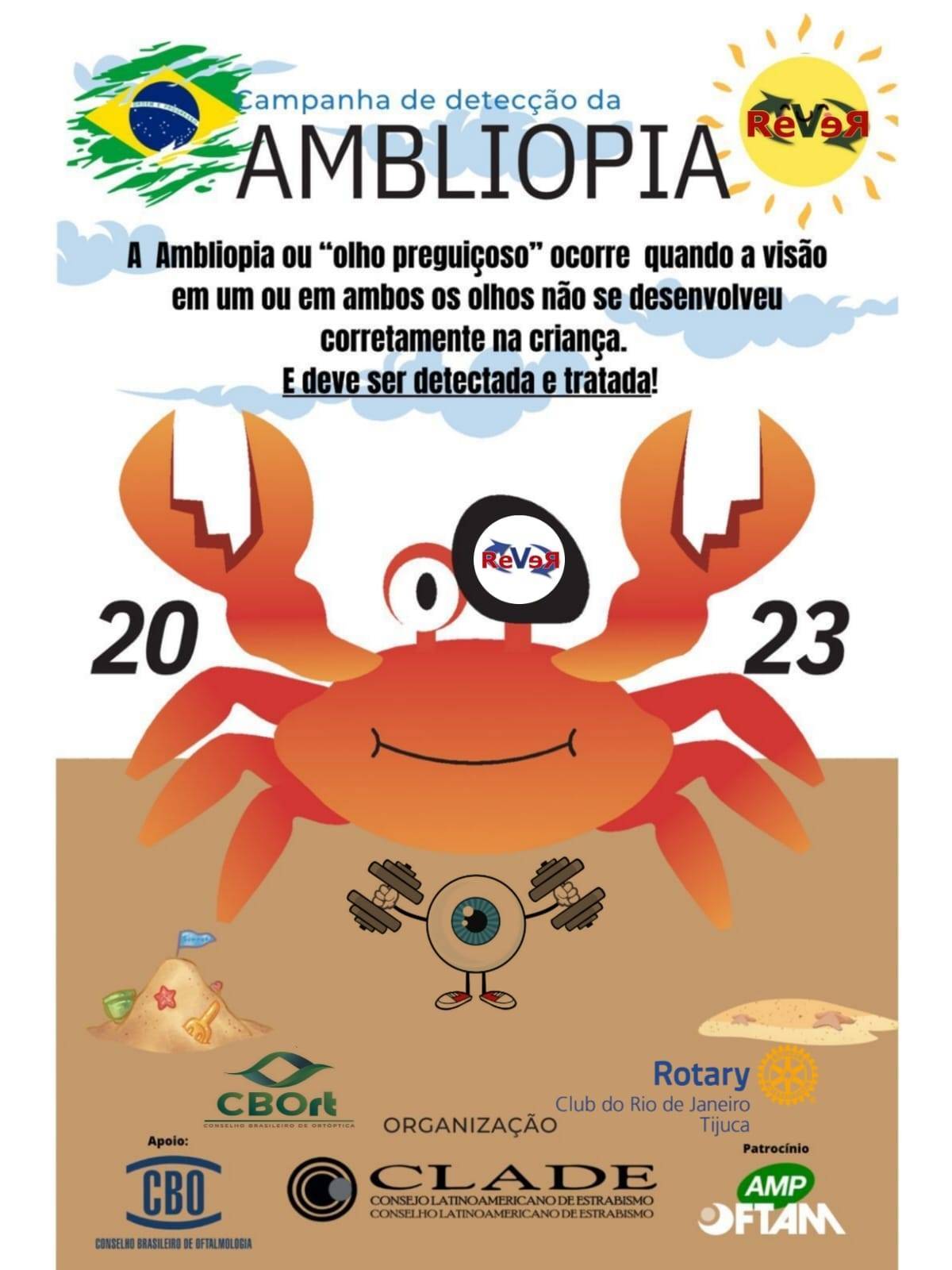 Por Siomara Castro Presidente da Comissão de Imagem Pública