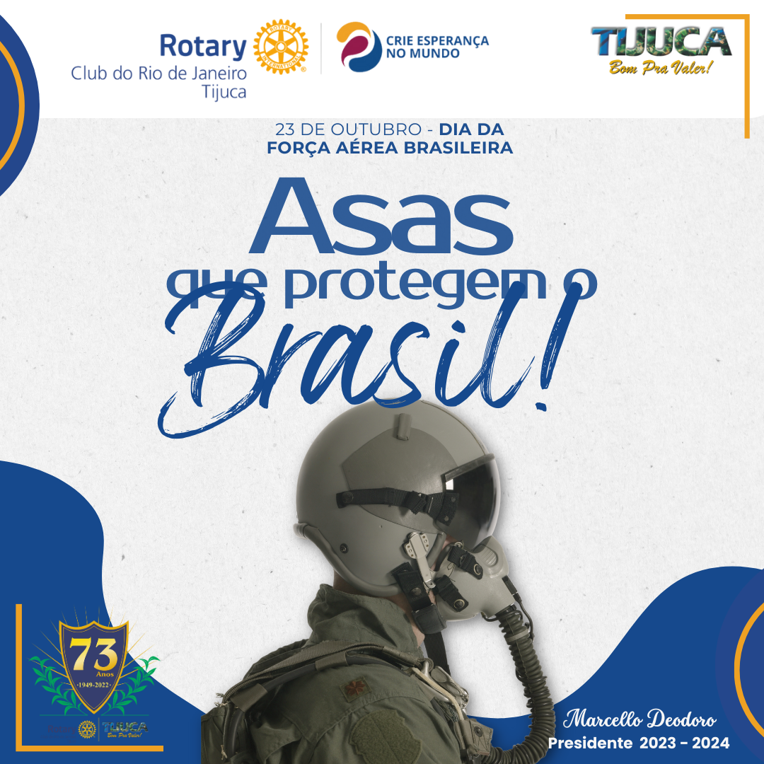 Por Siomara Castro Presidente da Comissão de Imagem Pública