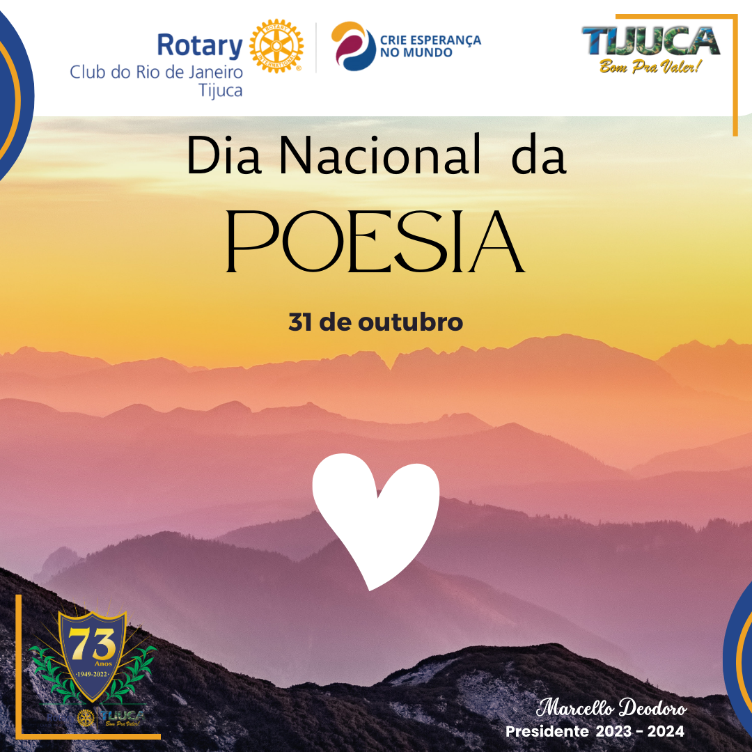 Por Siomara Castro Presidente da Comissão de Imagem Pública