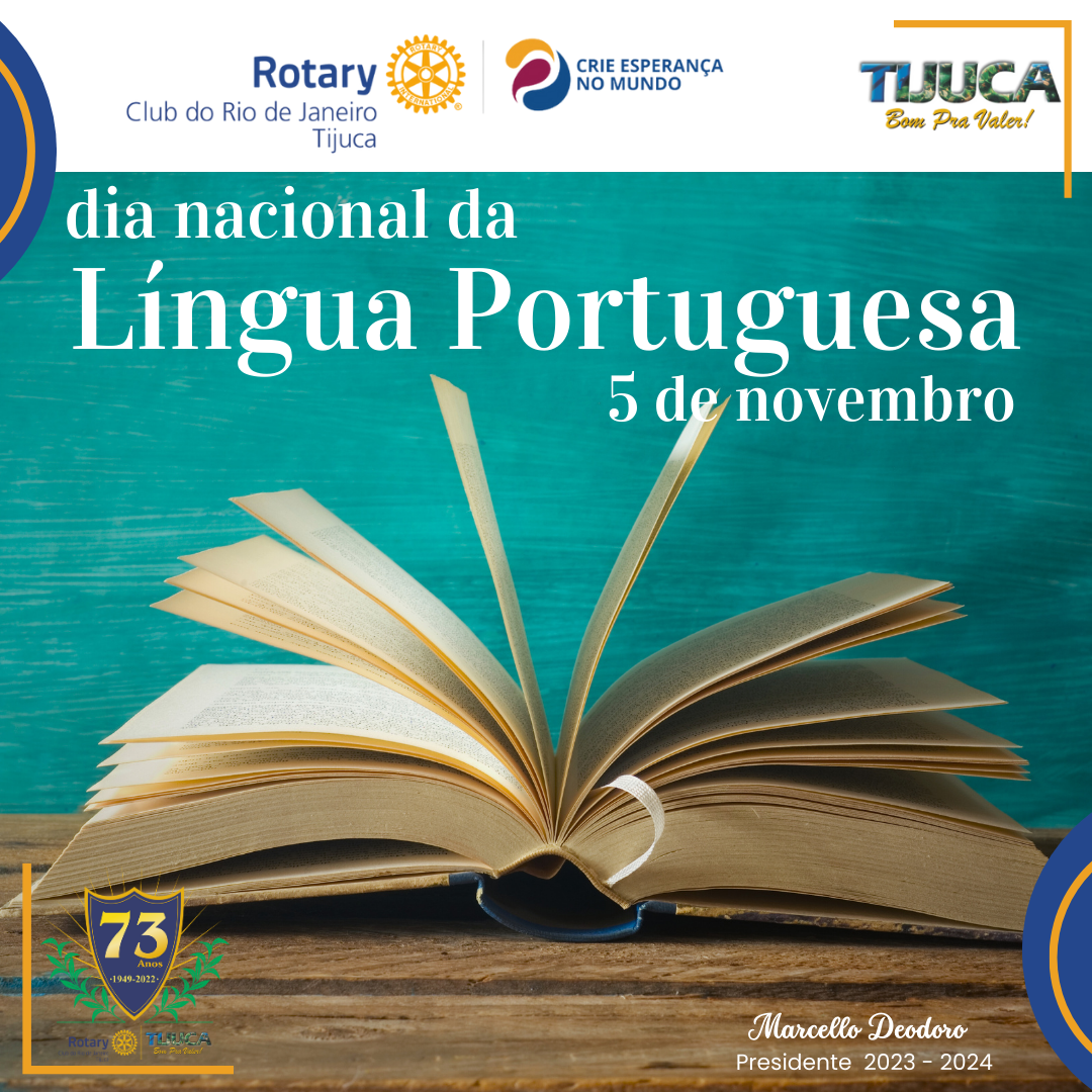 Por Siomara Castro Presidente da Comissão de Imagem Pública