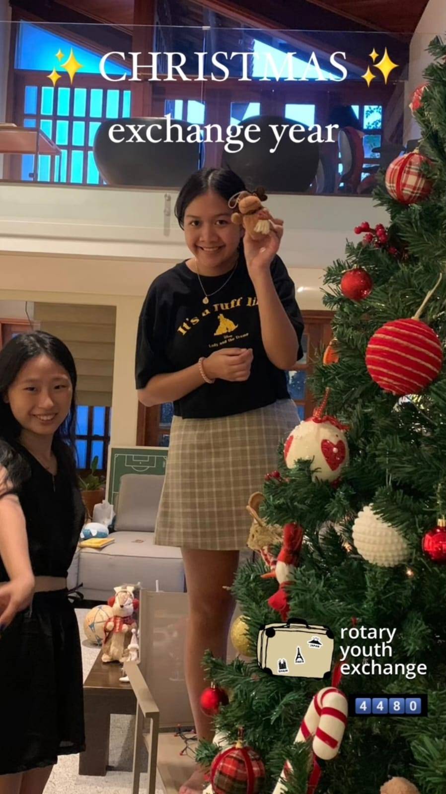 Intercambistas ajudam na montagem de Arvore de Natal