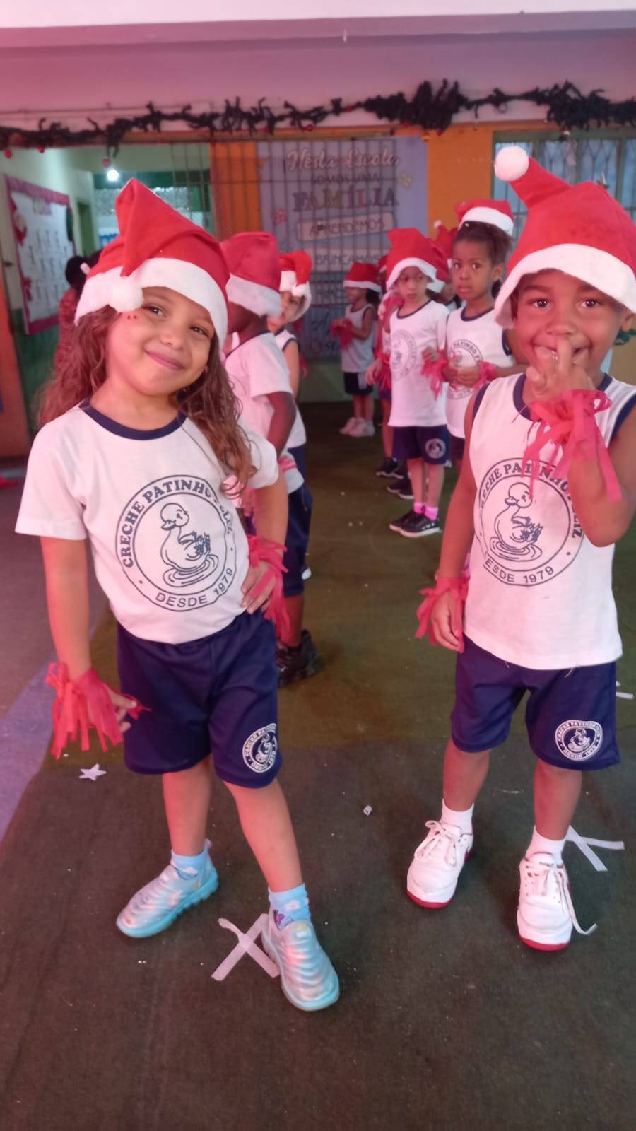 Por Siomara Castro Presidente da Comissão de Imagem Pública