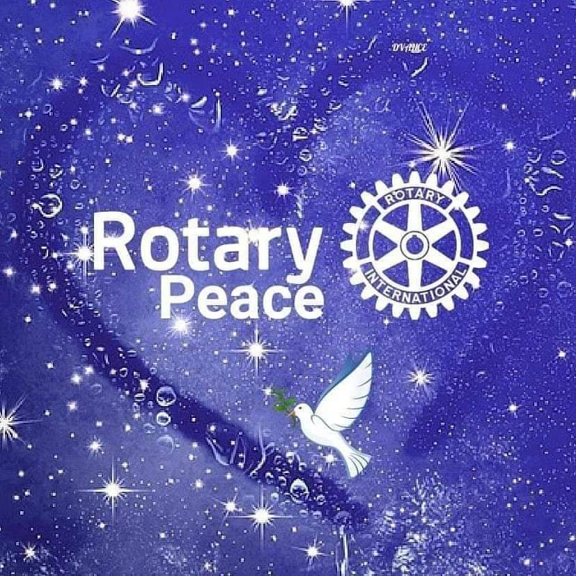 Bolsas de estudos pelo Paz do Rotary