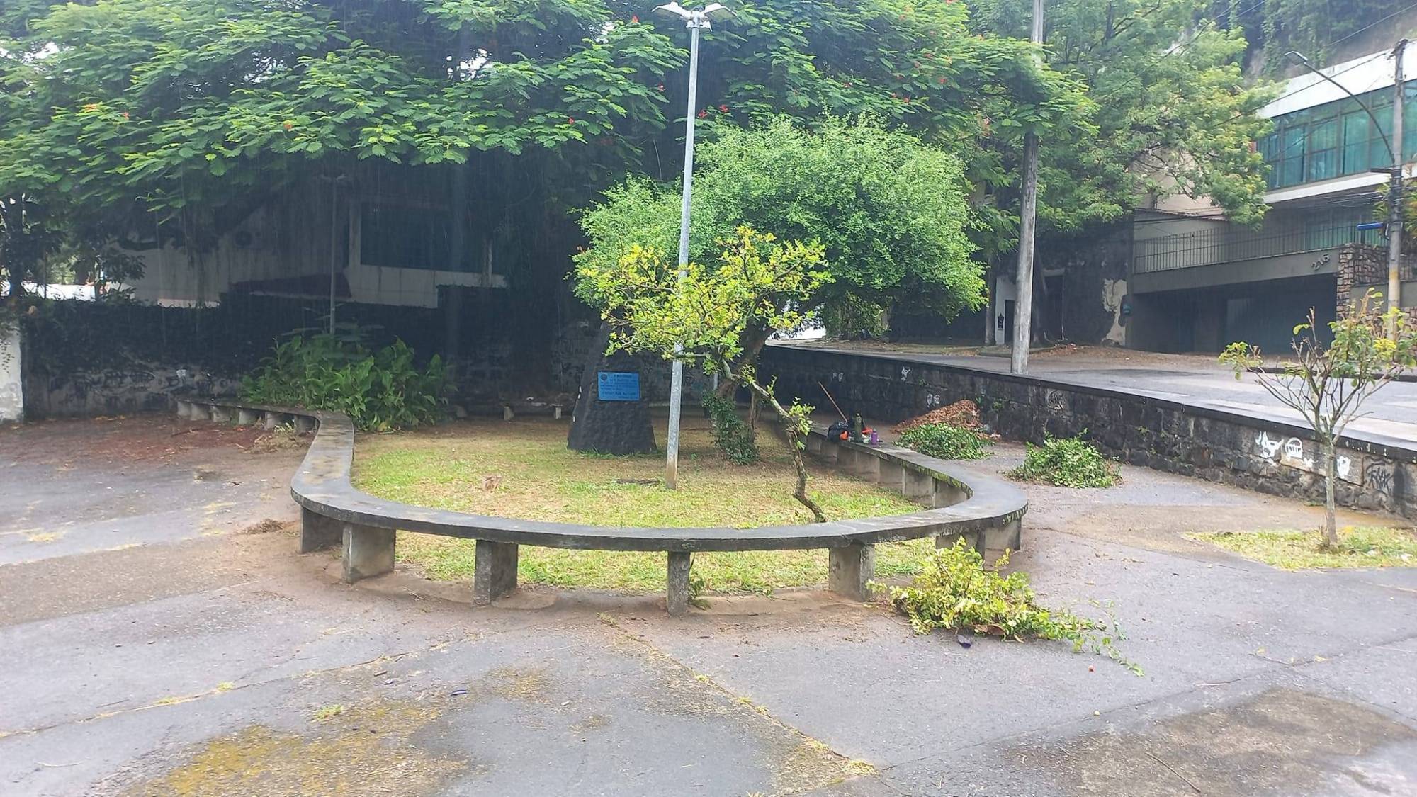 Por Siomara Castro Presidente da Comissão de Imagem Pública