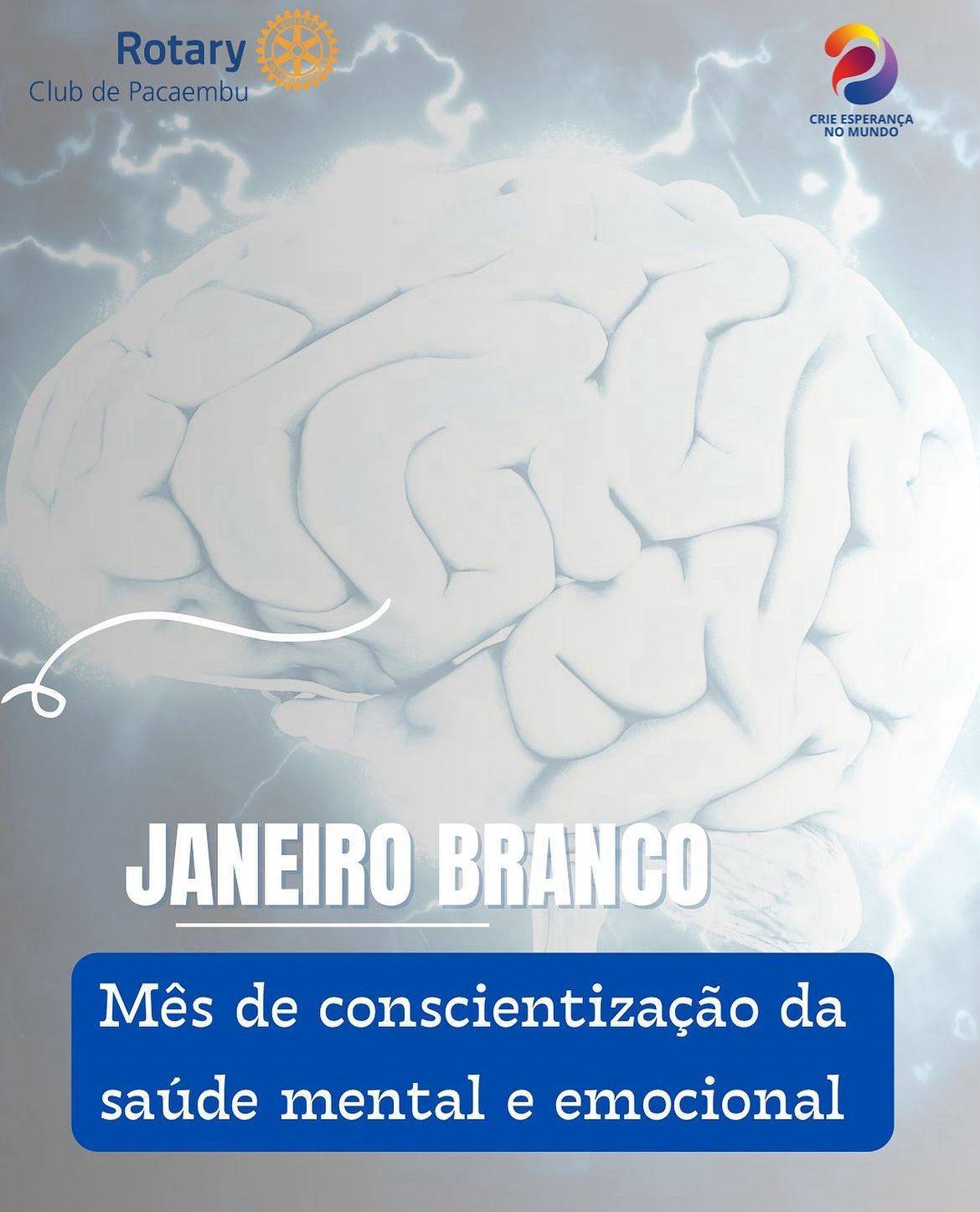 JANEIRO BRANCO 🧠