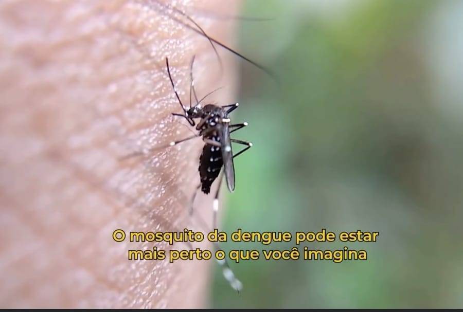 Previna-se contra o Mosquito da Dengue 