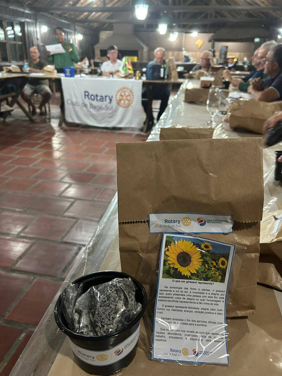 Dinâmica do girassol