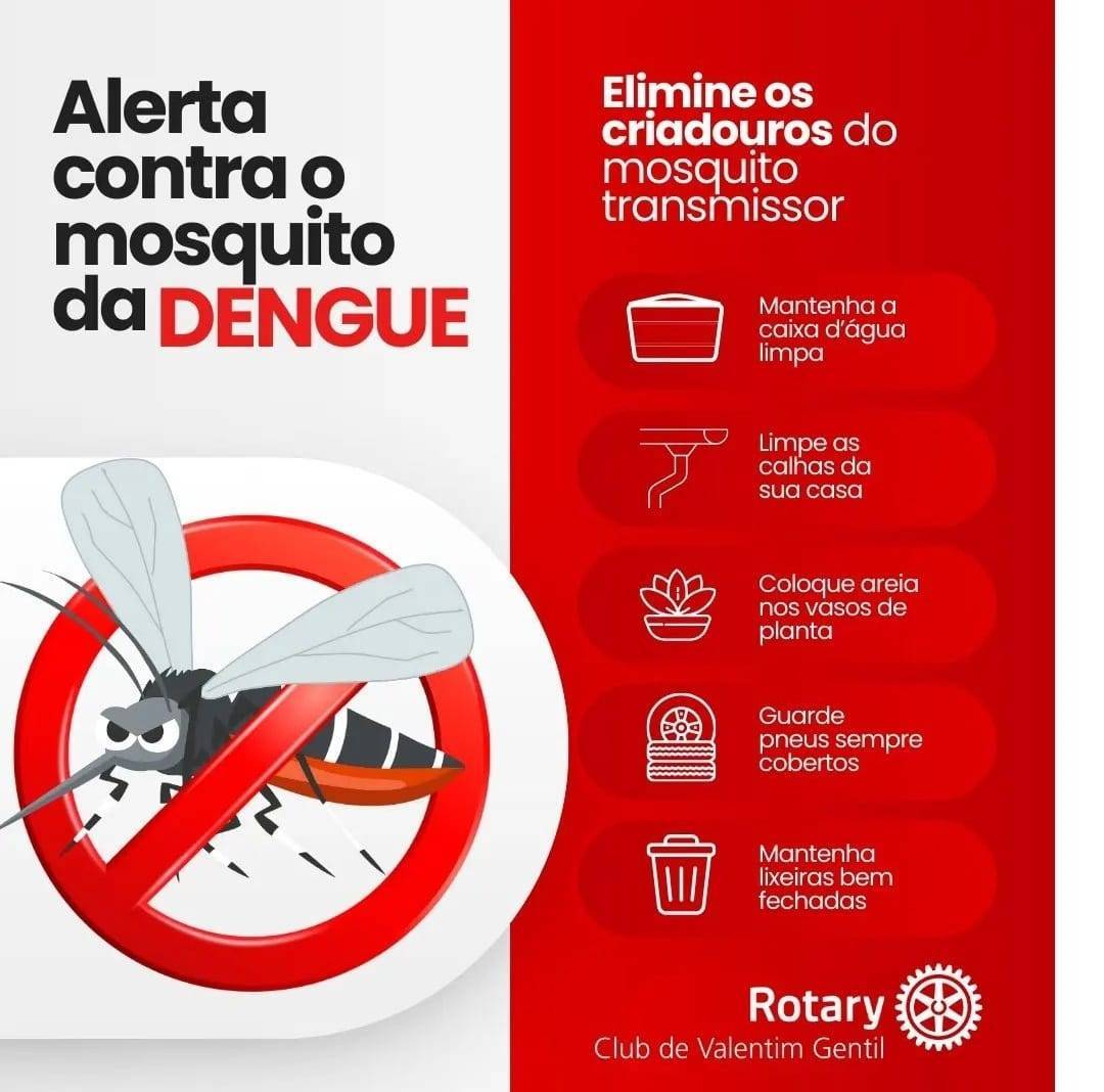 Combate a Dengue 