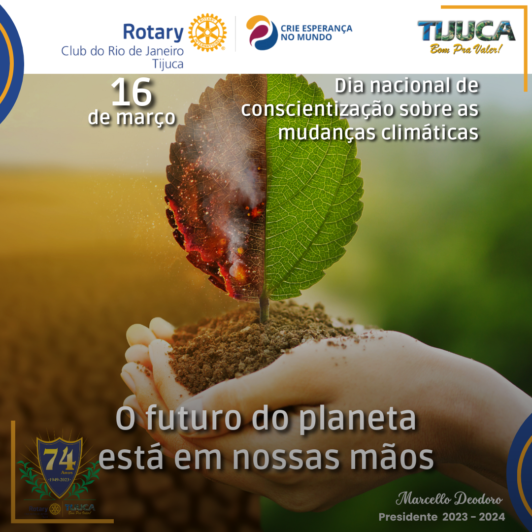 Por Siomara Castro Presidente da Comissão de Imagem Pública