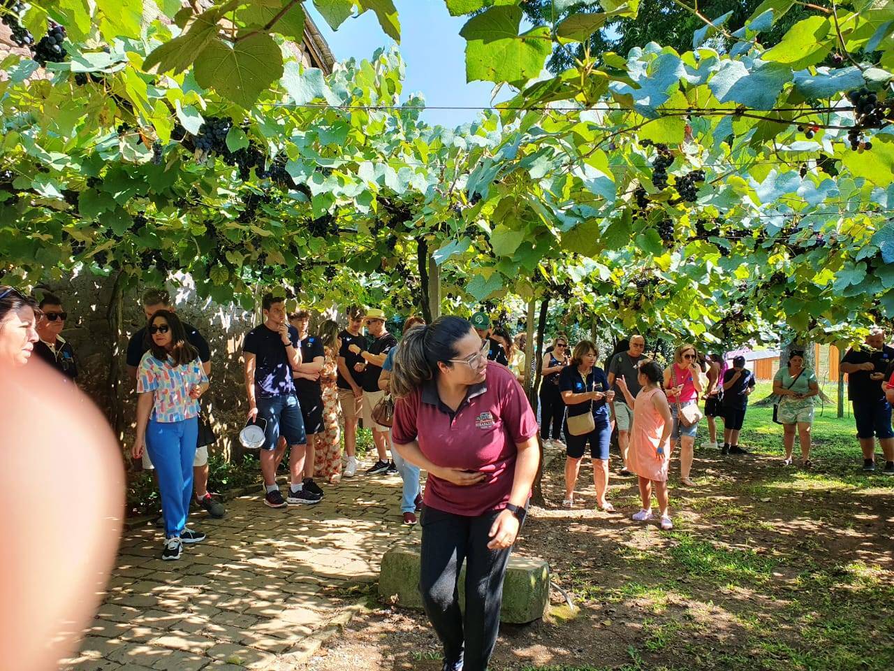 Viagem de companheirismo Bento Gonçalves RS 
