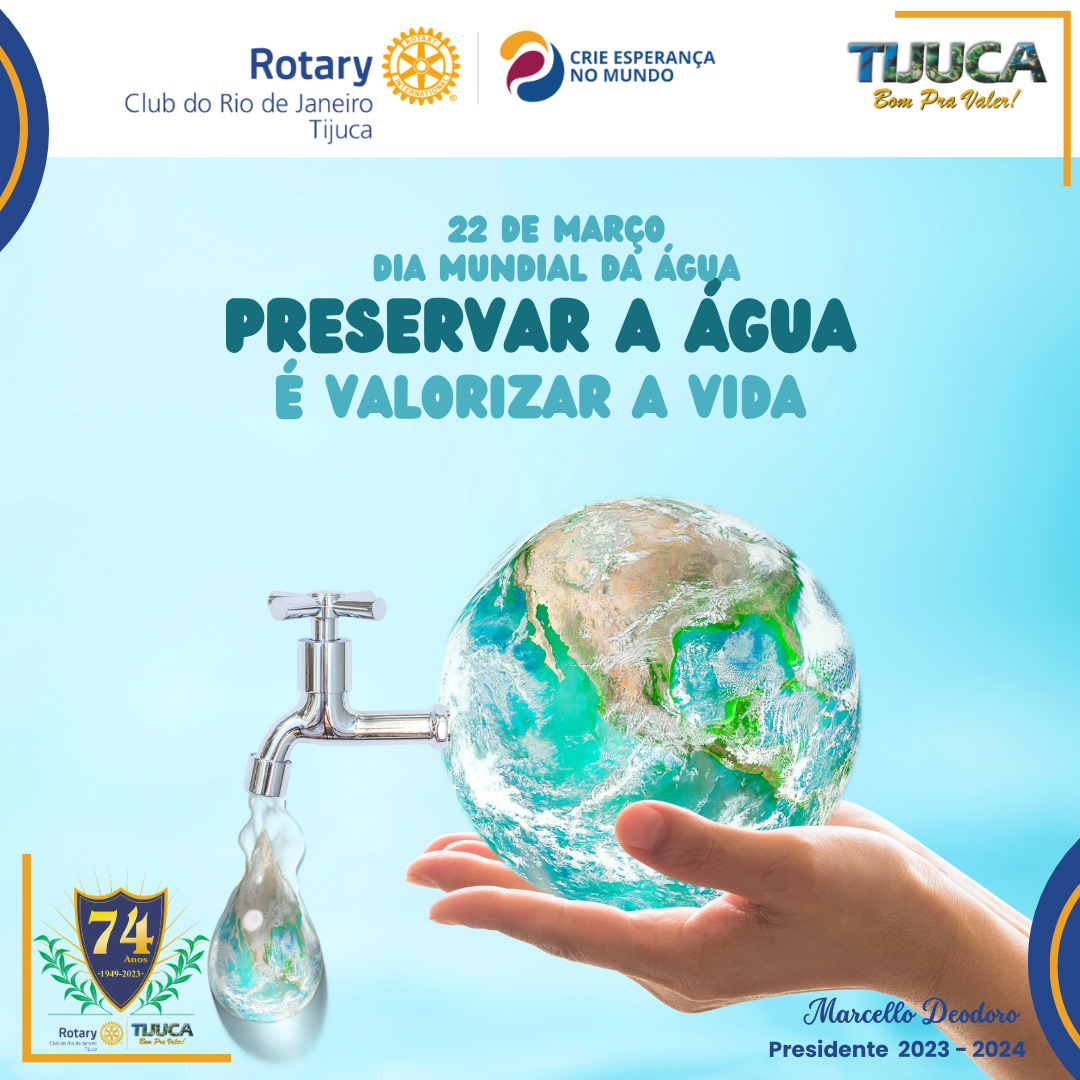 Por Siomara Castro Presidente da Comissão de Imagem Pública