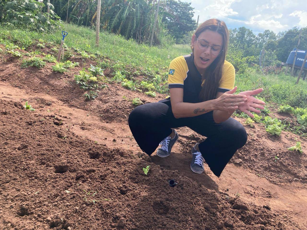 Texto do Rotary Club de Lins - Norte