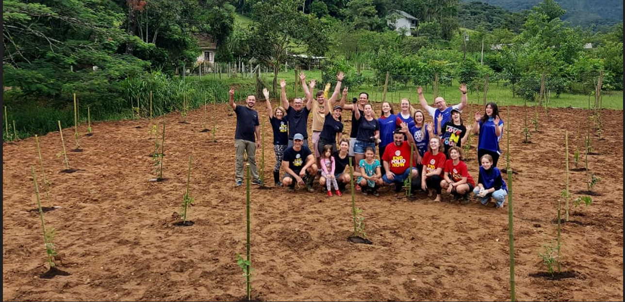 Plantio de 100 árvores em comemoração ao Centenário do Rotary no Brasil