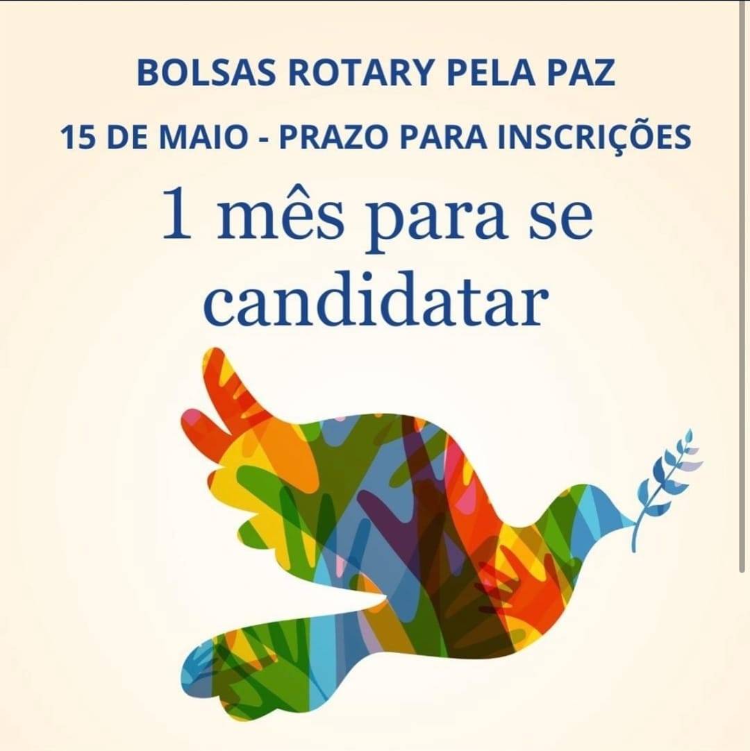 Bolsistas Rotary pela Paz