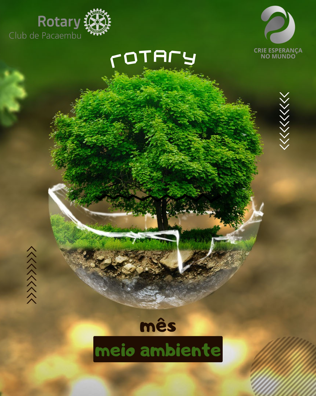 𝐌𝐄𝐈𝐎 𝐀𝐌𝐁𝐈𝐄𝐍𝐓𝐄 🌎🚰🌳