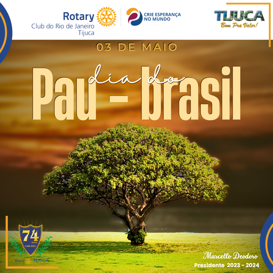 Por Siomara Castro Presidente da Comissão de Imagem Pública