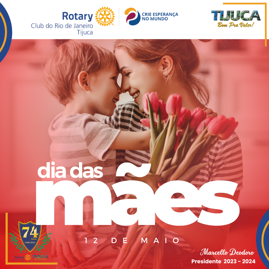 Por Siomara Castro Presidente da Comissão de Imagem Pública