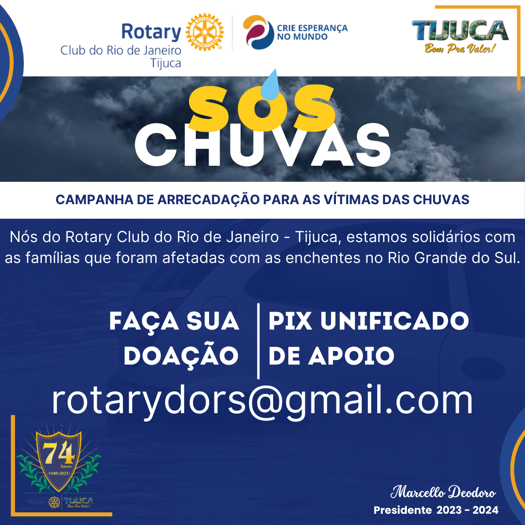 Por Siomara Castro Presidente da Comissão de Imagem Pública