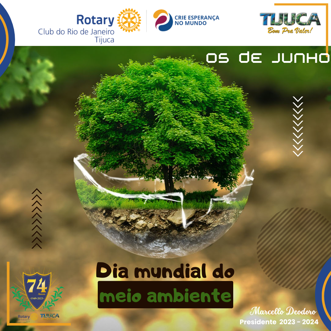 Por Siomara Castro Presidente da Comissão de Imagem Pública