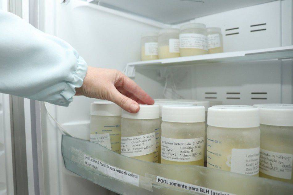 Família Rotária do Distrito 4480 Festeja Aprovação de Projeto de Subsídio Global