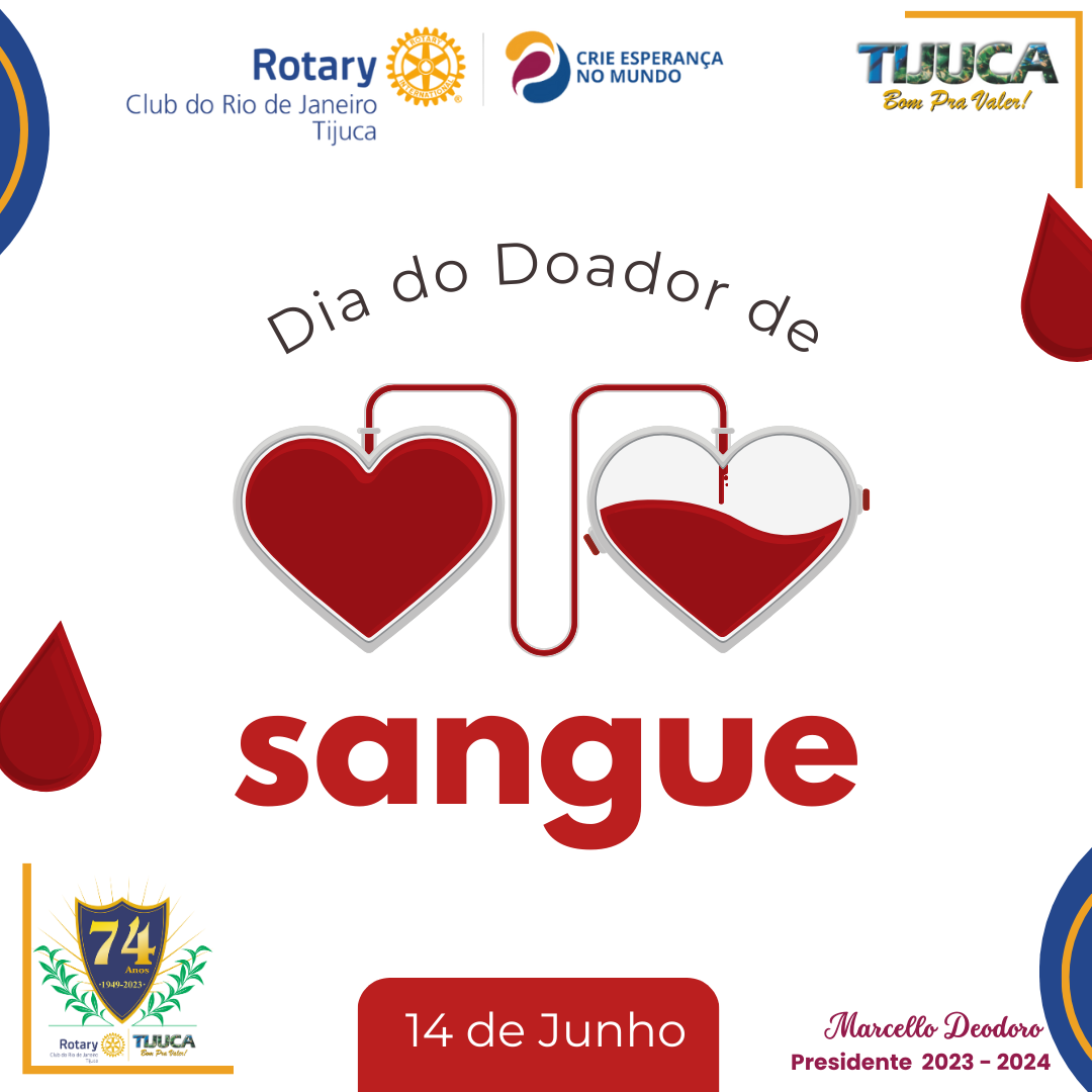 Por Siomara Castro Presidente da Comissão de Imagem Pública