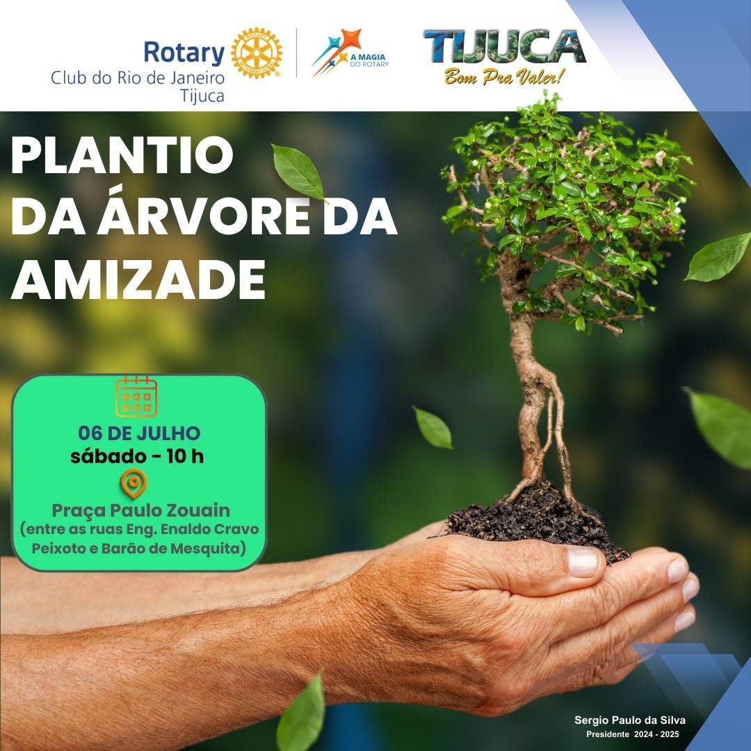 Por Siomara Castro Presidente da Comissão de Imagem Pública