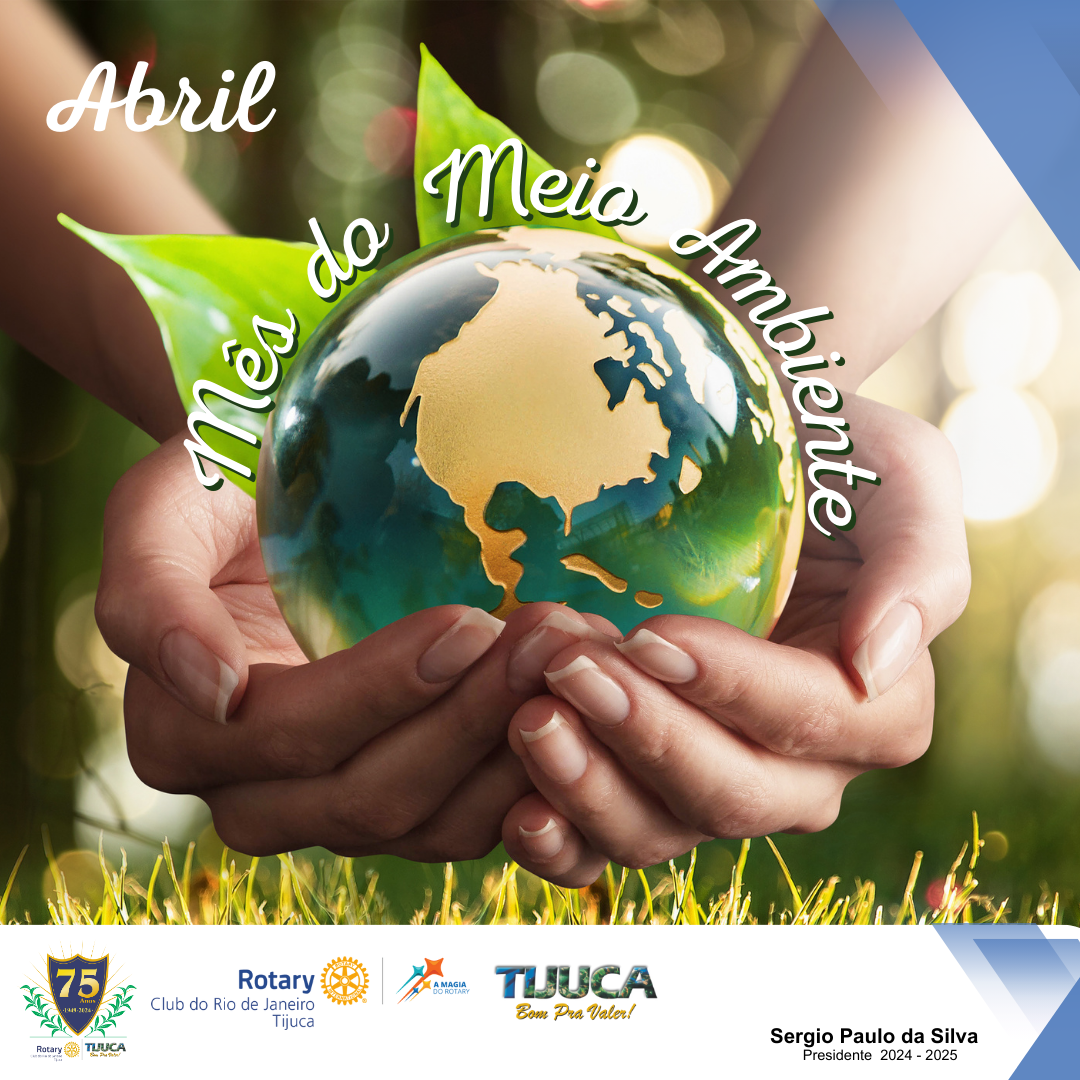 Por Siomara Castro Presidente da Comissão de Imagem Pública