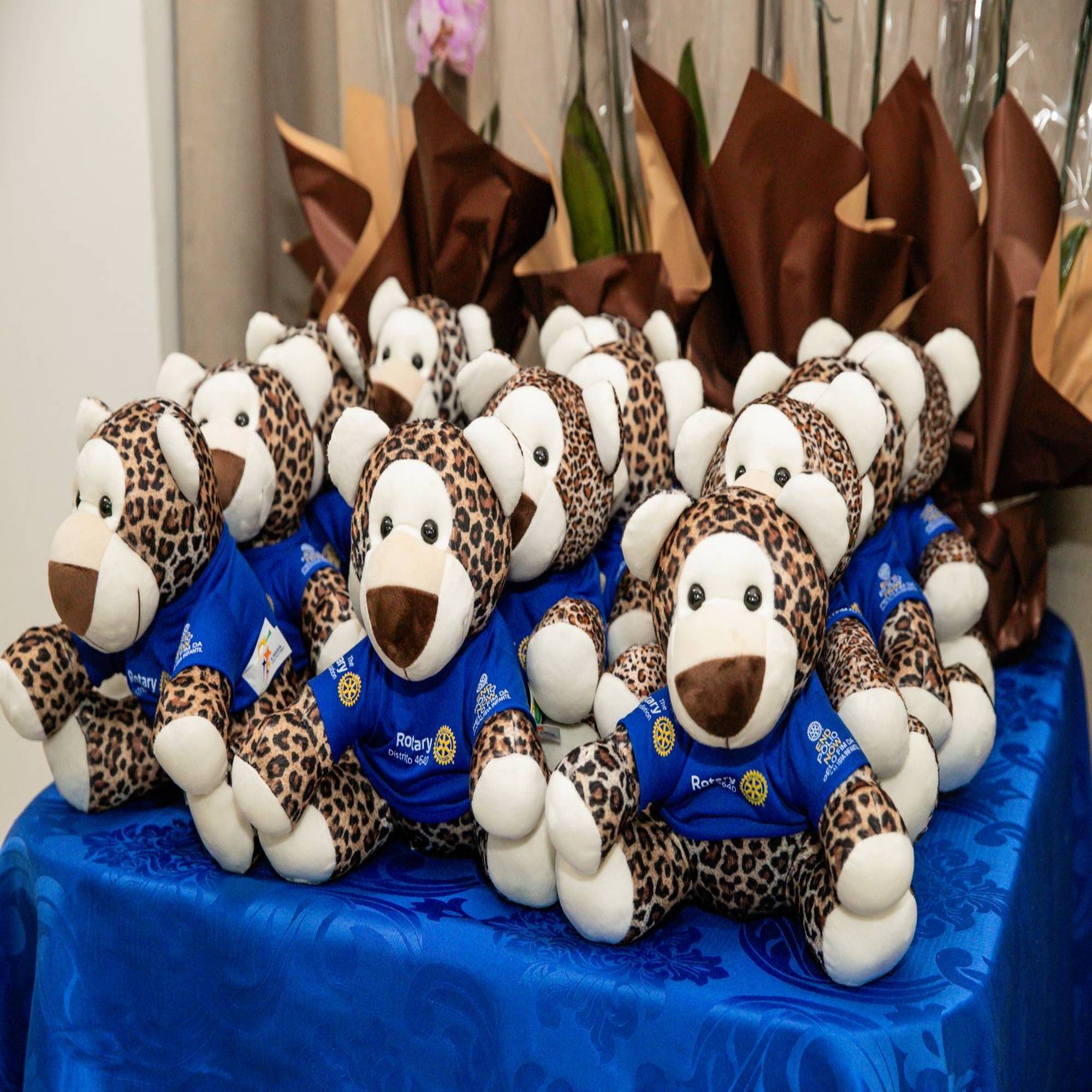 Rotakis de Toledo Integração