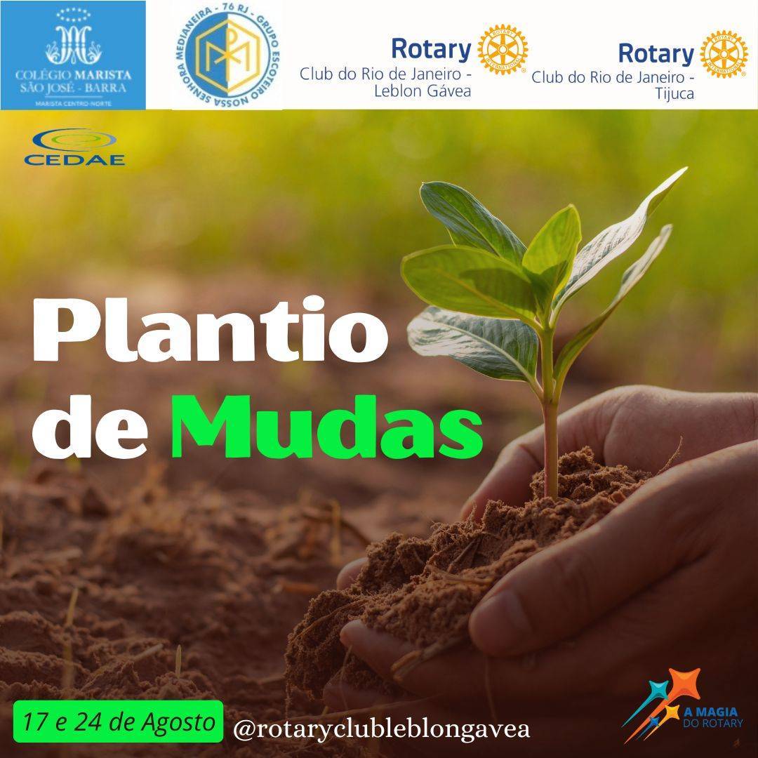 Por Siomara Castro Presidente da Comissão de Imagem Pública