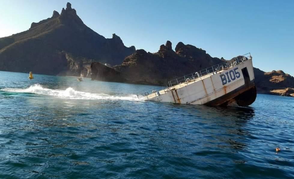 Rotary Brasil Mostra Exemplos de Preservação da Vida Marinha