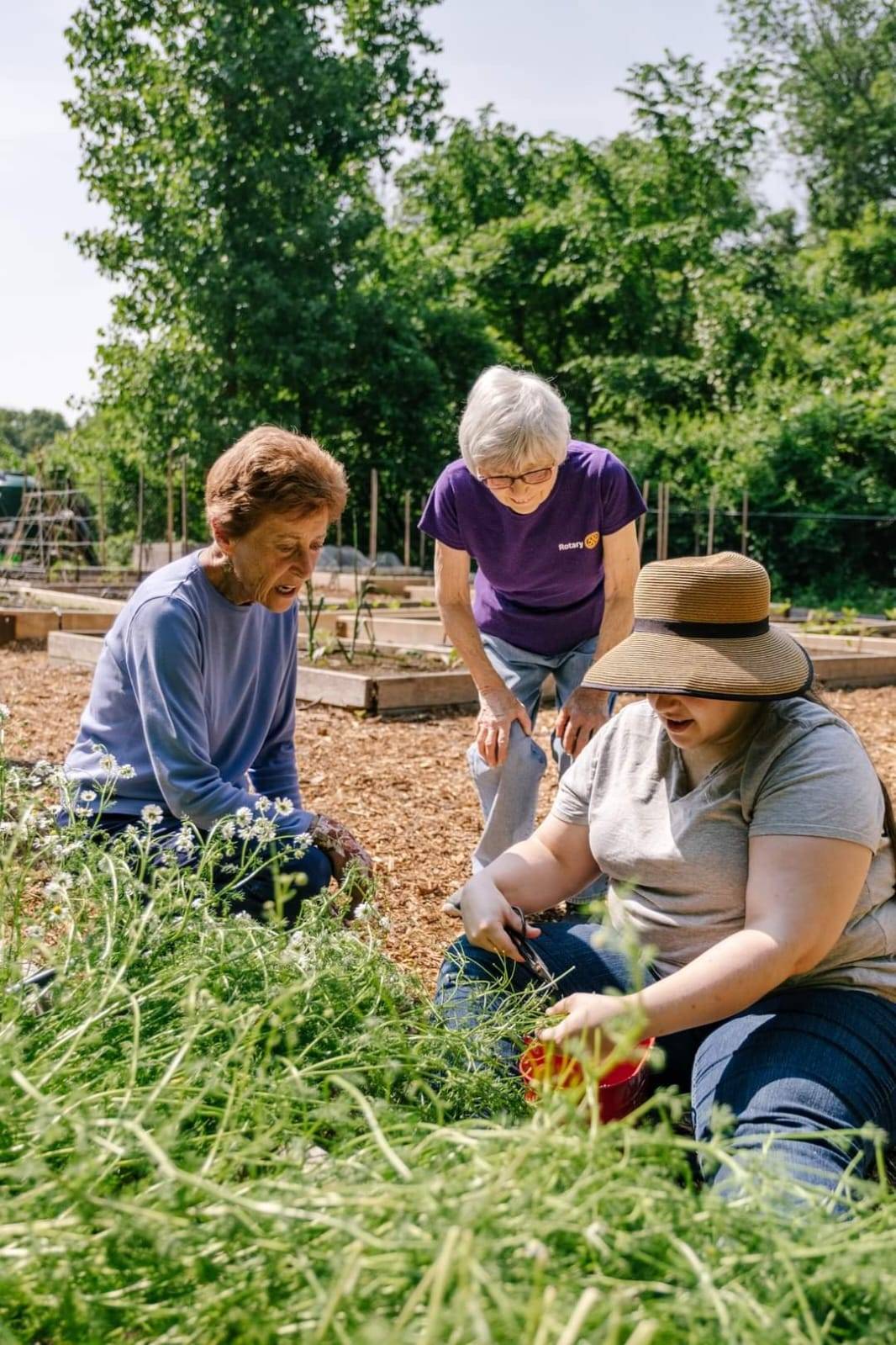 NRDCs são formados por membros da comunidade que planejam e executam projetos em colaboração com Rotary Clubs