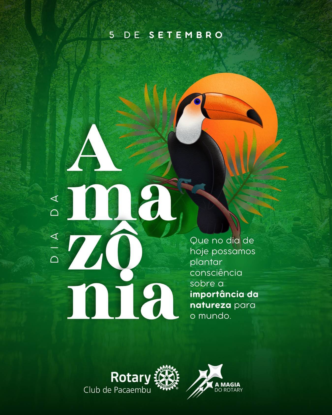 🌿✨ 𝗗𝗶𝗮 𝗱𝗮 𝗔𝗺𝗮𝘇𝗼̂𝗻𝗶𝗮!