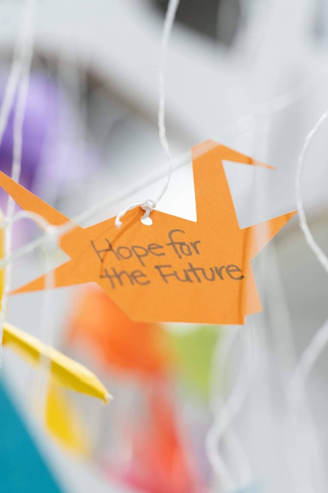 Rotary Brasil Incentiva Reconhecimento de Liderança como Campeão da Paz