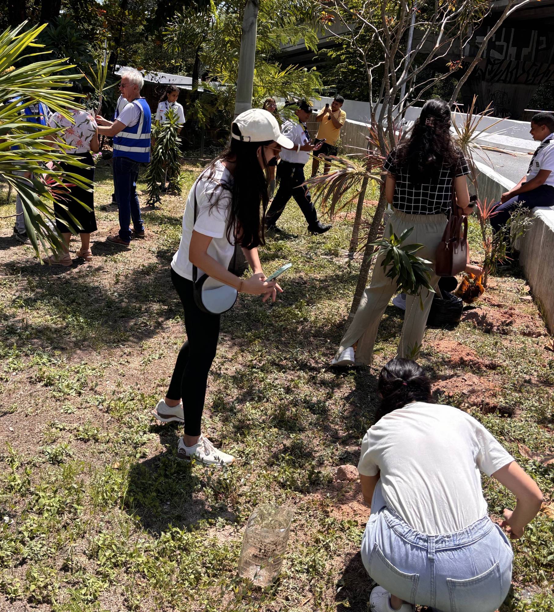 Comemoração do Dia da Árvore.