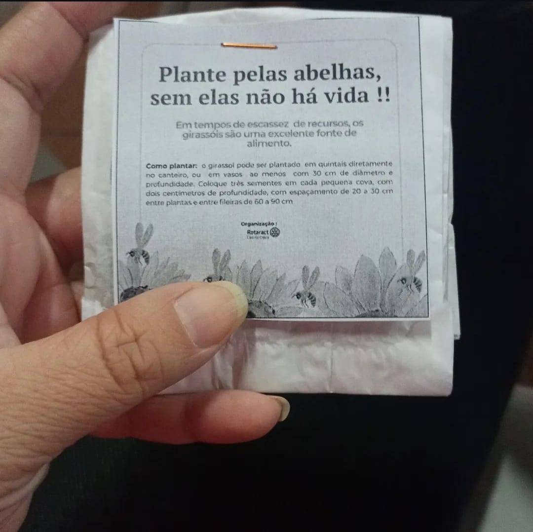 Rotaract Club de Colina e Flor de Abelha 3 Lança Início do Projeto '" Rotaractanos plantando pelas abelhas "