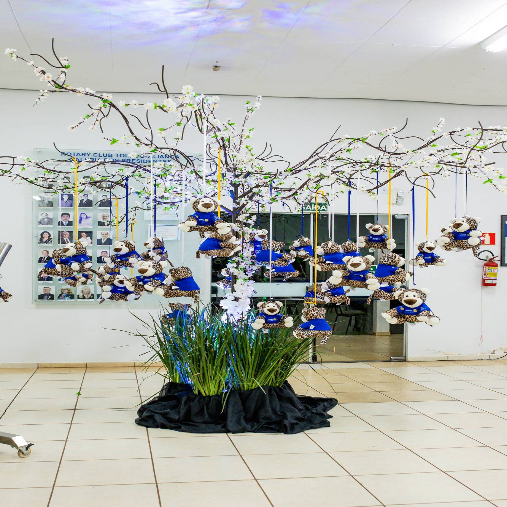 Reunião Festiva com o Governador celebra marcos importantes para o Rotary Club de Toledo Integração   