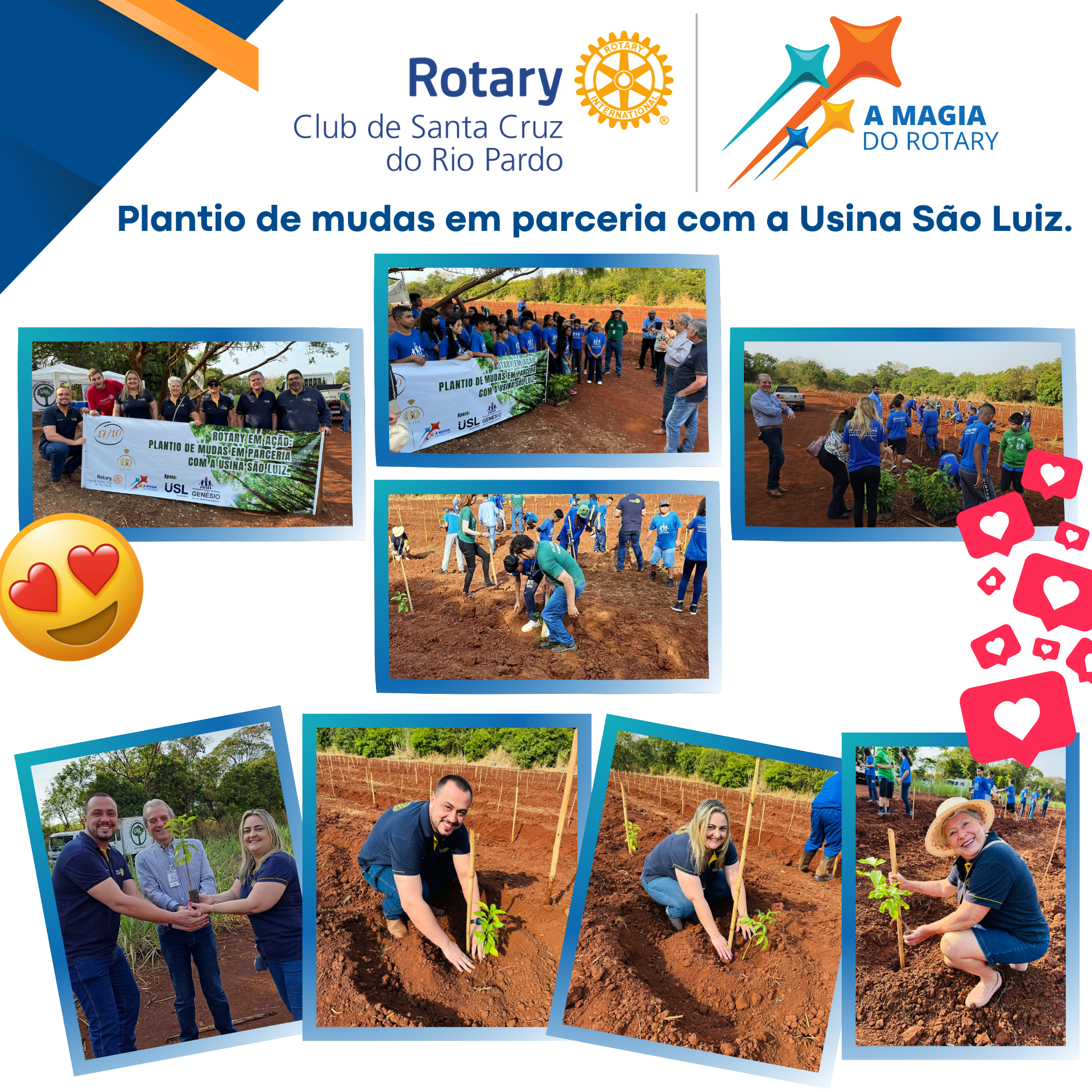 Plantio de mudas de árvores