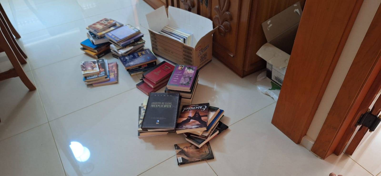 Projeto Biblioteca Arroio do Meio