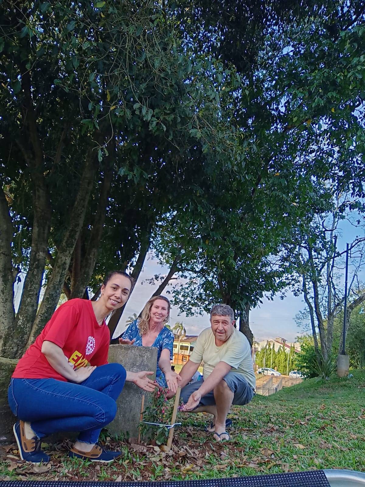 Plantio de mudas da flor Brinco de Princesa na Praça Rotary Club