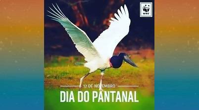 Dia do Pantanal !