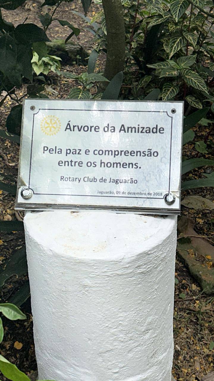 O Rotary Club de Jaguarão, desenvolve 28 projetos, onde prioriza a sustentabilidade e continuidade, distribuídos em 6 áreas de enfoque, temos a alegria de ver o resultado do Projeto Plantio de Árvores ,área de enfoque Meio Ambiente. Na gestão 2018/2019 foi realizada o plantio de uma muda na fazenda Sinuelo , ao qual seu proprietário Antônio Carlos Marques , associado representativo do Rotary Club de Jaguarão, chamou de Árvore da Amizade ,neste dia 7/12/2024,em visita a empresa agro cidadã Estância Sinuelo, podemos verificar o crescimento dessa planta. Enfatizamos que esta empresa se preocupa com o Meio Ambiente e faz continuamente um trabalho de plantio e cuidados com as plantas.