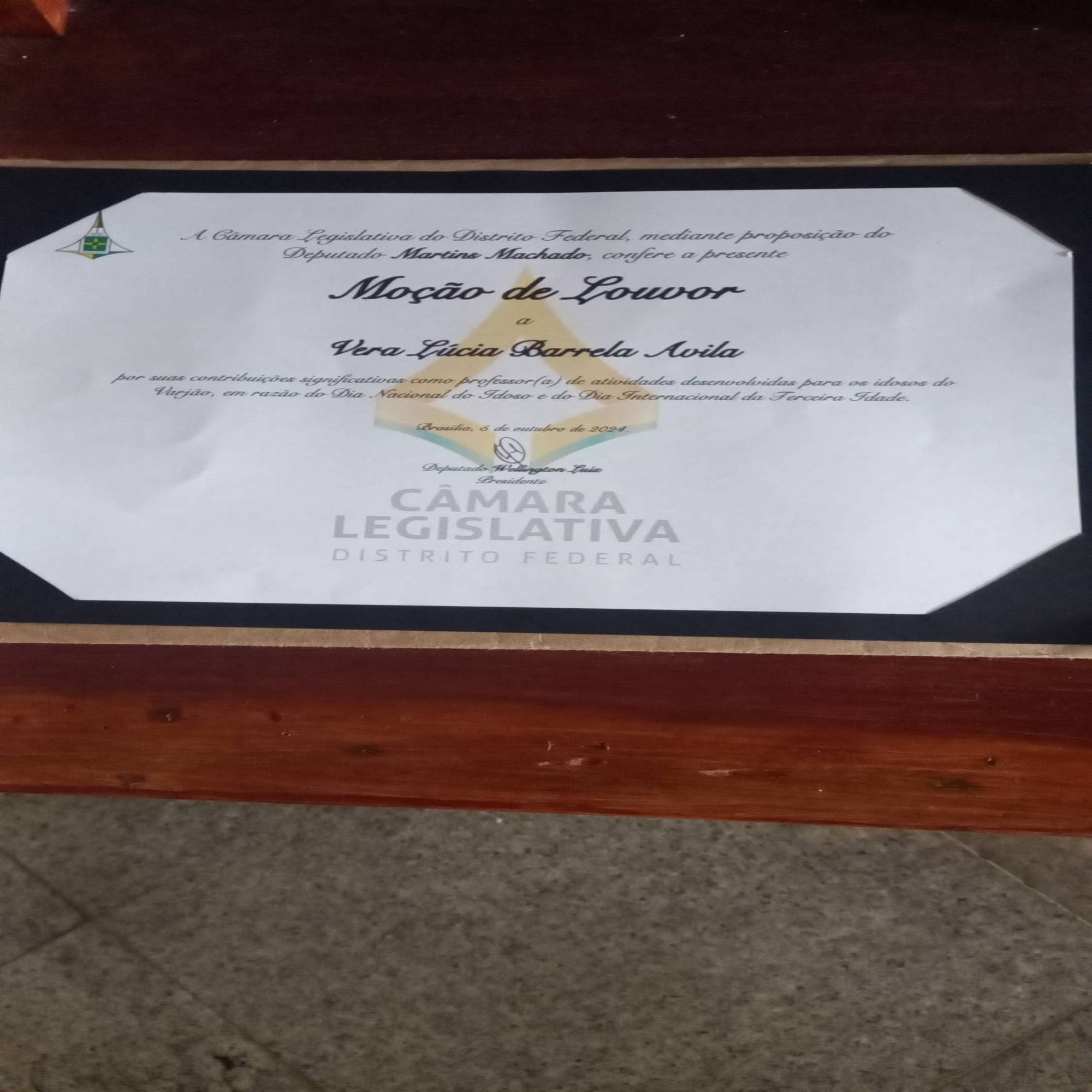 MOÇÃO DE LOUVOR CONCEDIDA PELA CÂMARA LEGISLATIVA DO DISTRITO FEDERAL À GOVERNADORA  DISTRITAL 2020-21, VERA LUCIA BARRELA AVILA.