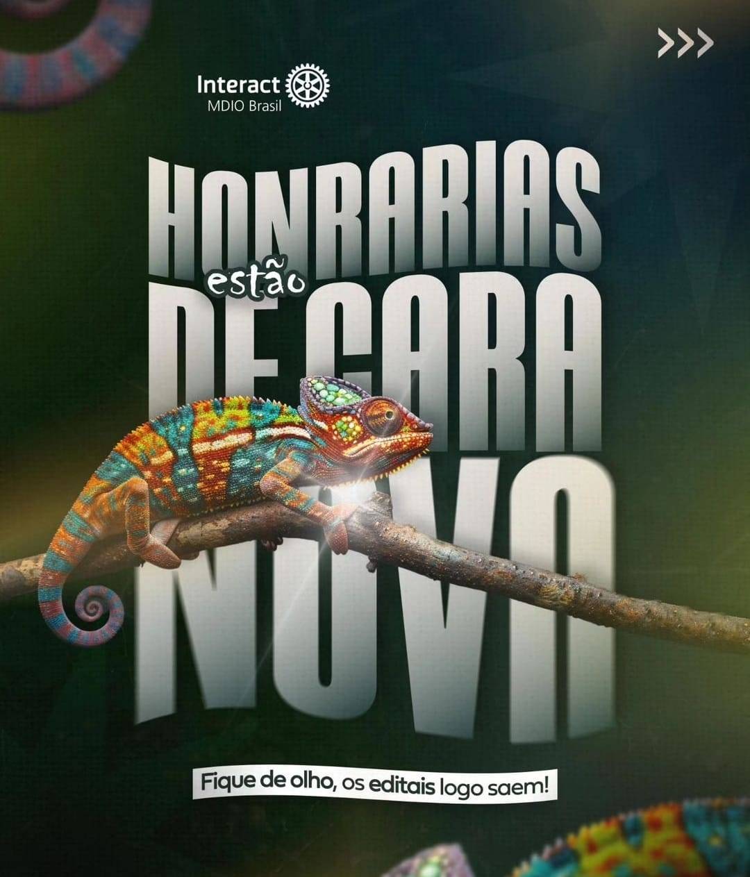 Honrarias do Interact MDIO Brasil Com Novo Design