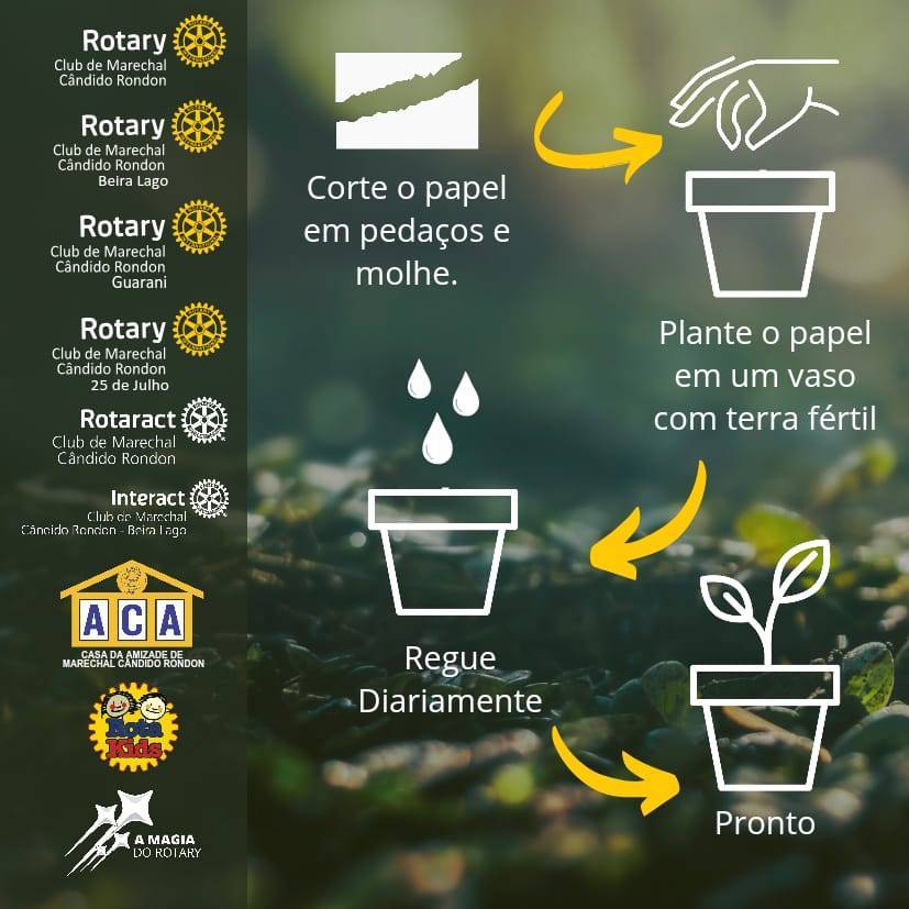 Ação inovadora com cartões sementes incentiva o plantio e a sustentabilidade em Marechal Cândido Rondon