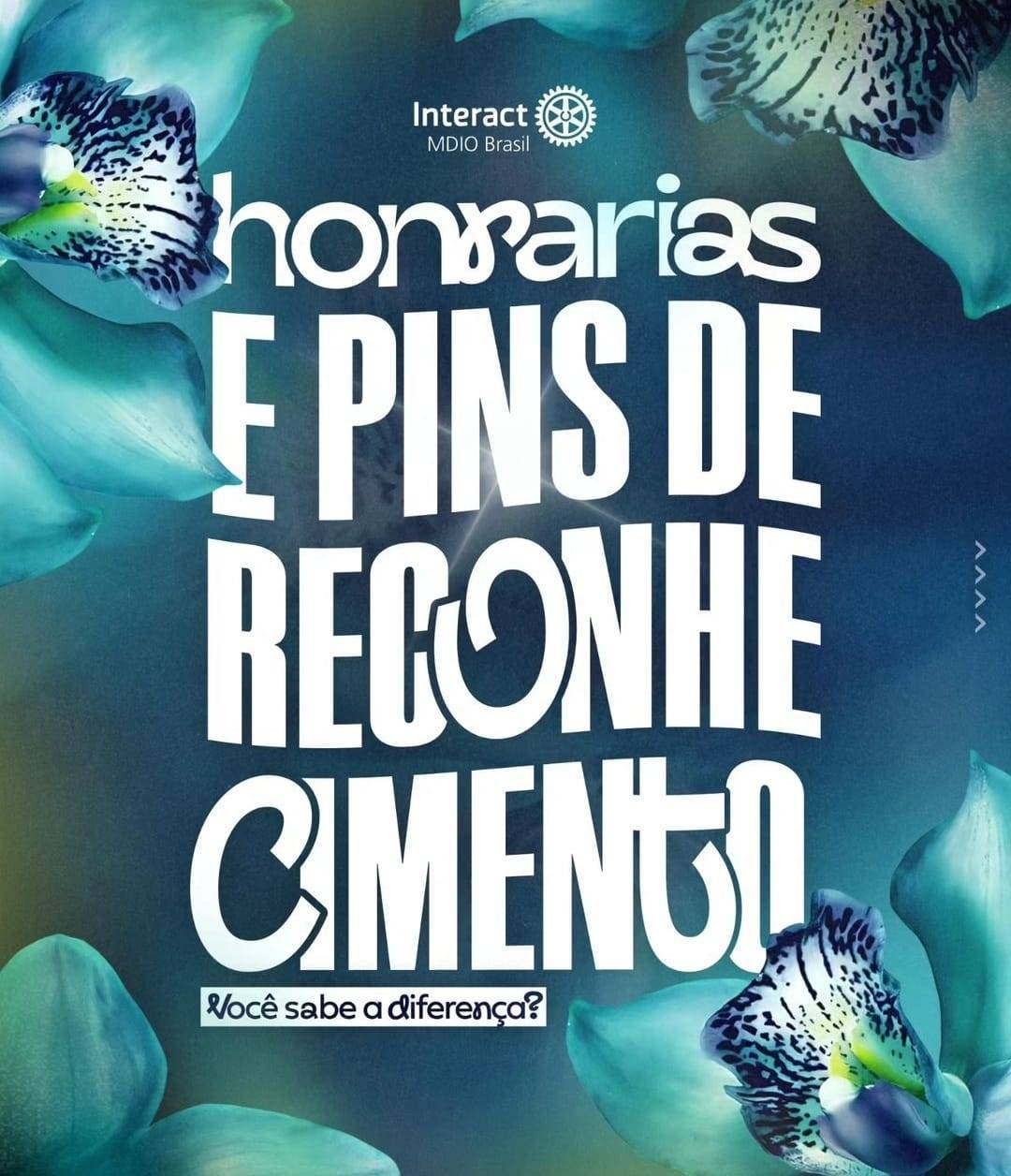 MDIO Interact Br Explica a Diferença Entre as Honrarias e os Pins de Reconhecimento