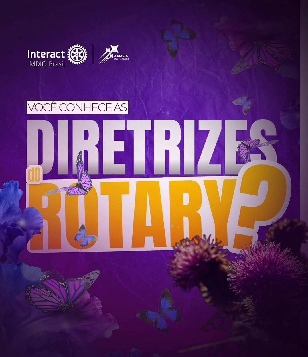 MDIO Interact Brasil Esclarece Sobre Diretrizes do Rotary