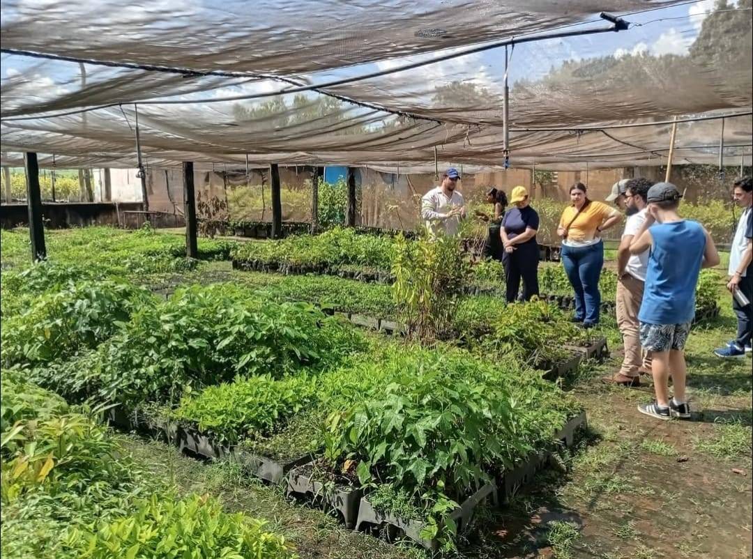 Interact Club de Ariranha realiza visita ao viveiro de mudas da Colombo Agroindustria